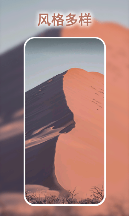 多多彩动态壁纸最新版