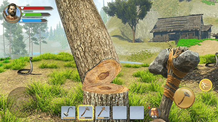 荒岛余生3D游戏 荒岛余生3D中文版下载