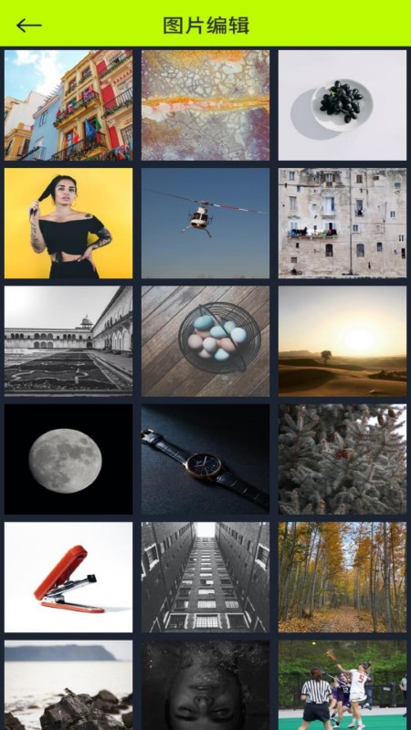 花儿视频图片app