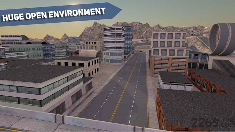 模拟警车驾驶中文版