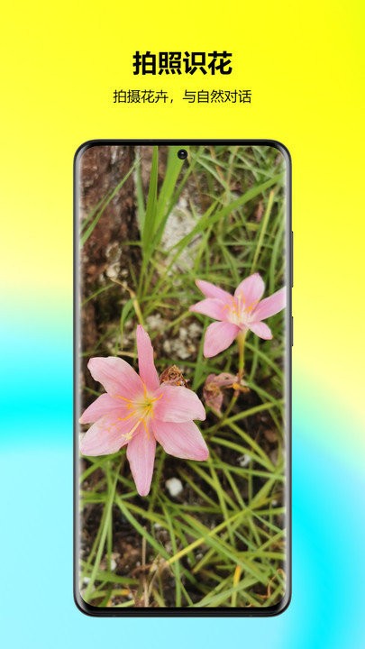 万能拍照识花app