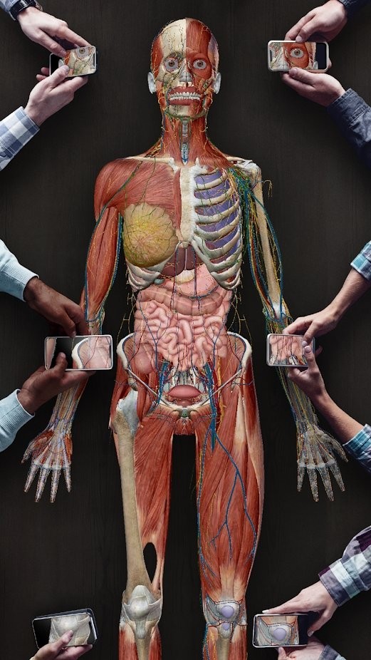 human anatomy atlas 手机版下载
