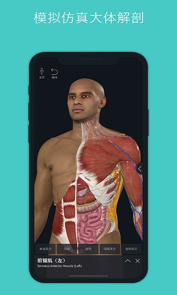 complete anatomy2025中文版