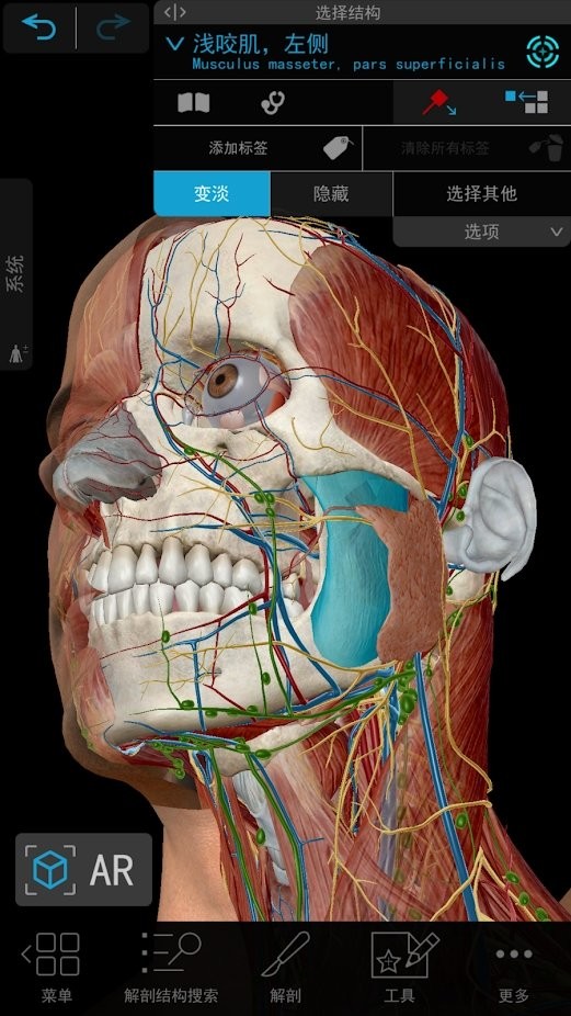 human anatomy atlas2021中文版