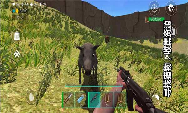 古城求生手机版