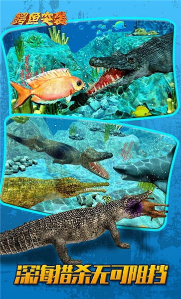 鳄鱼突袭手机版 鳄鱼突袭游戏下载